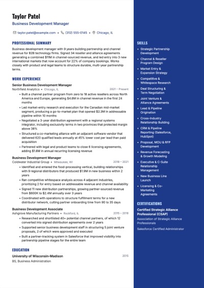 Business Development Manager resume example preview