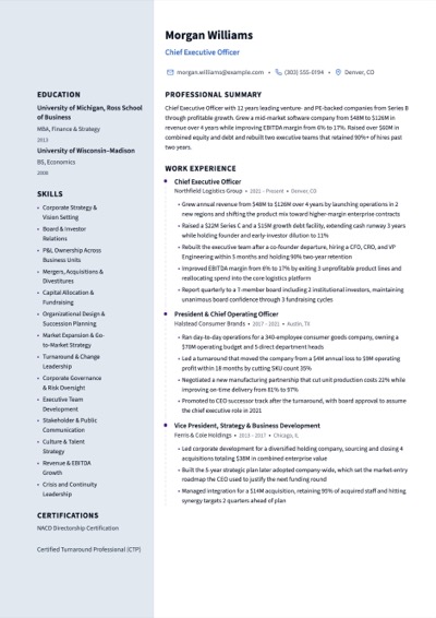 Chief Executive Officer resume example preview