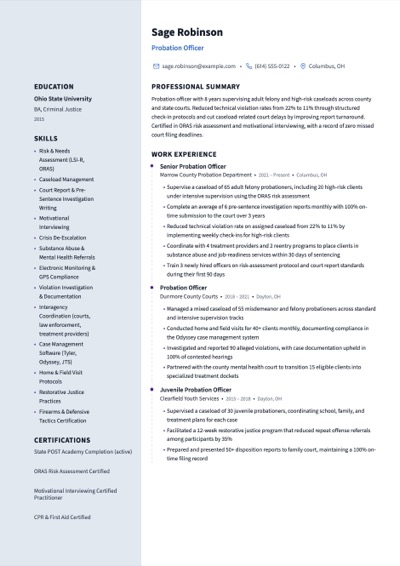 Probation Officer resume example preview