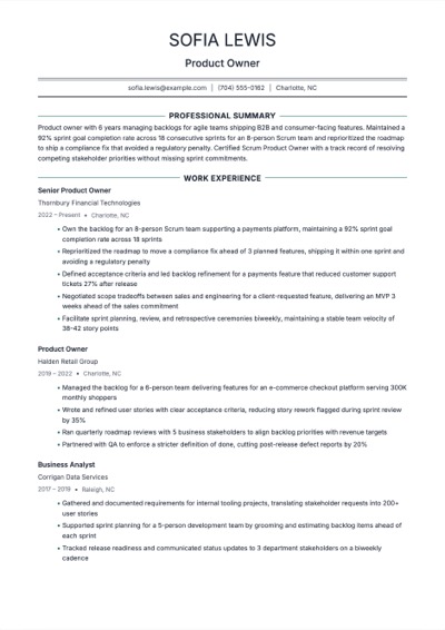 Product Owner resume example preview