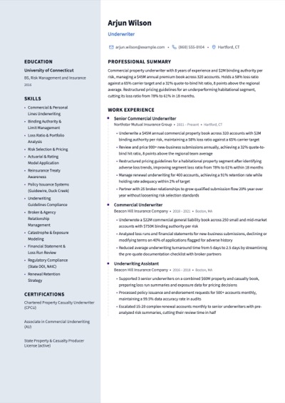 Underwriter resume example preview