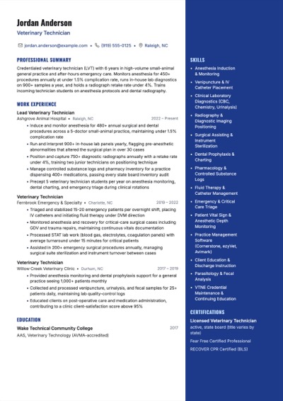 Veterinary Technician resume example preview